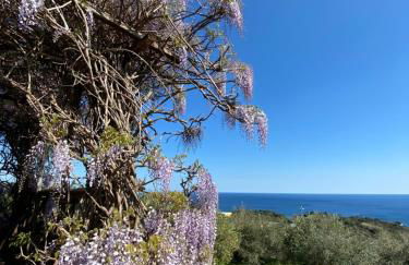 Agriturismo Natta Di Monte Tabor - Foto 70