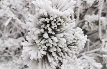 Enjoy the Long Range View, Ski in n out Top of the Mountain condo - Foto 13