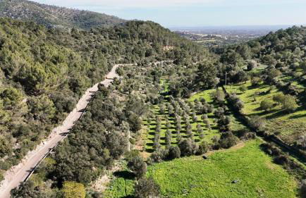 Agroturismo Finca Can Sec - Foto 47