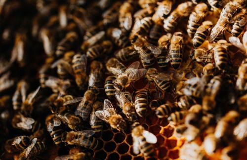 Babel´s Auszeit - Foto 67