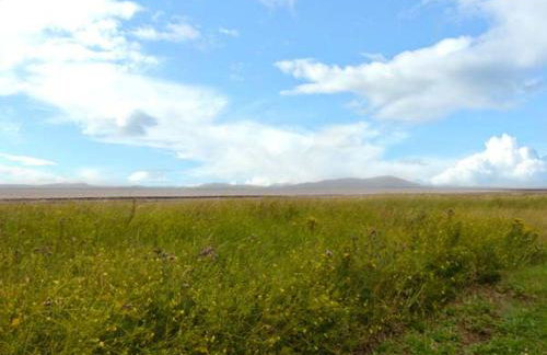 Gulls Hatch - Foto 21