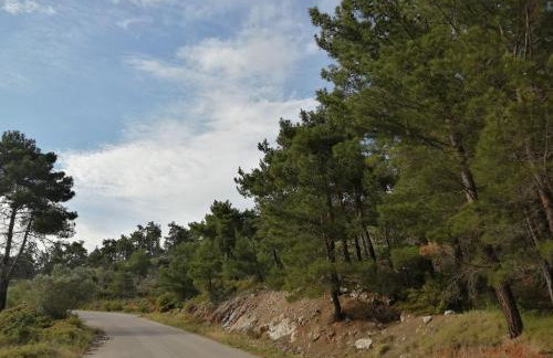 ΑΝΑΒΑΤΟΣ ΕΞΟΧΙΚΗ ΚΑΤΟΙΚΙΑ - Photo 32