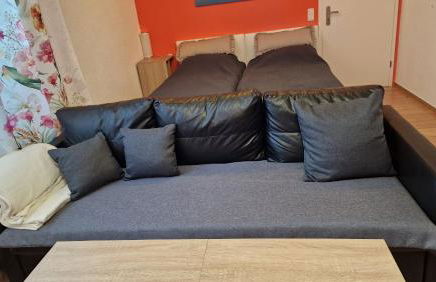 Familienfreundliche große Fewo Peter in Bärenstein bis 5 Personen - Foto 39