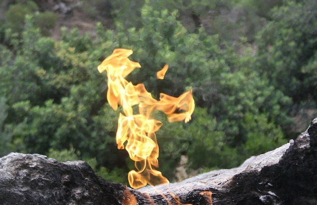 Akdeniz Bahcesi - Foto 12