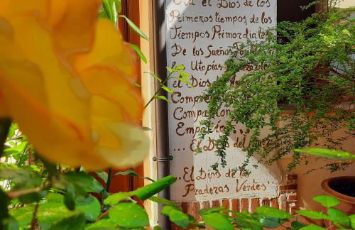 Beautiful Alamedas, un santuario donde el tiempo se detiene - Foto 21