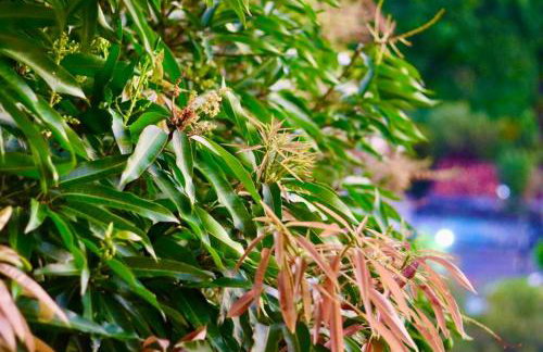 Estúdio dos sonhos com bela vista próximo ao alto da sé - Foto 7