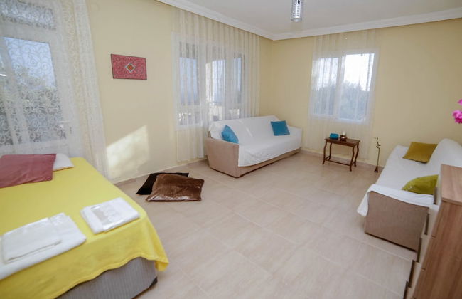 Kaktus Gokseki - Foto 3