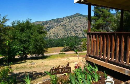 The Quail's Nest - Foto 2