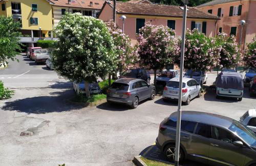 Noemi Apartment 5 Lands Paradise - Foto 17