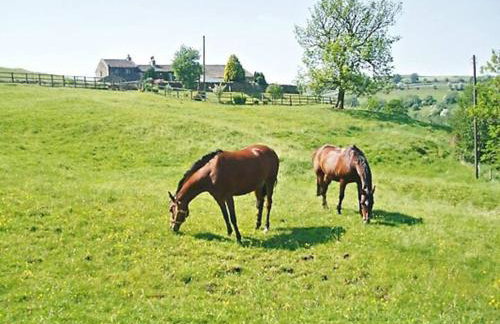 The Barn Cottage - Foto 17