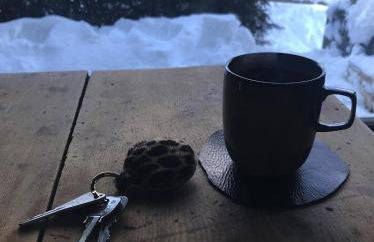 LCZ Dolce - Un Cocon à La Clusaz - Foto 37