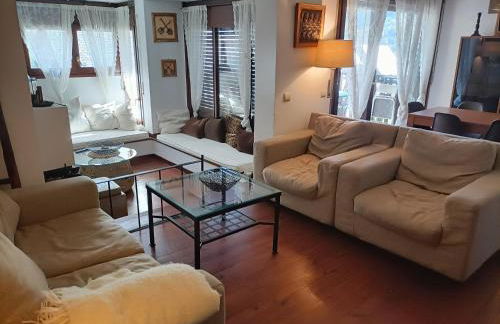 Junto a Vielha Apartamento Gausac - Foto 2