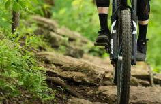 Alpine and Ember - Foto 4