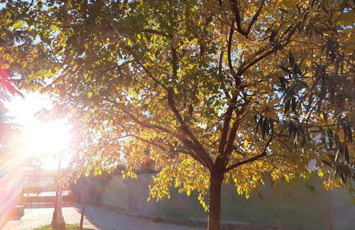 VILLA AFRICA - Foto 60