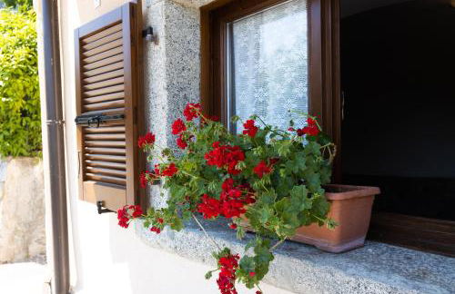 Ap. Lancillotto - Lago di Garda - Photo 43