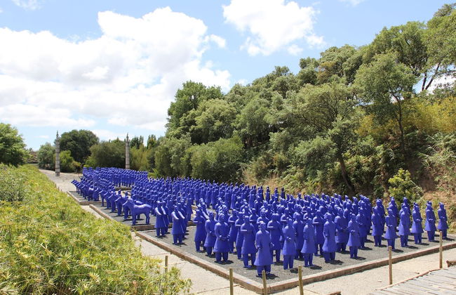 Terra Luso - Foto 57