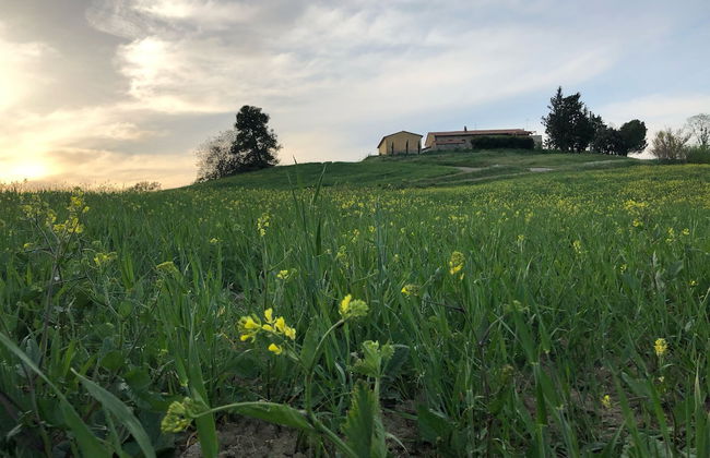 Poggio alla Pietra 26 - Foto 64