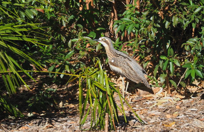 Magnetic Glamping - Foto 19