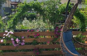 E s s e n t i a l Pompei - Foto 27