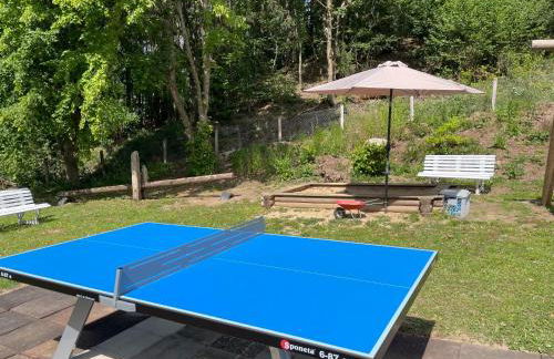 Holiday Home Reinskopf-3 by Interhome - Foto 29