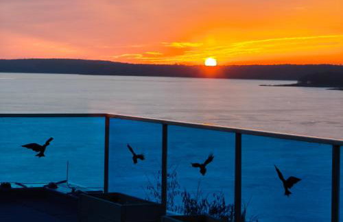 Aquarius Holiday Boszkowo Apartamenty - Foto 46