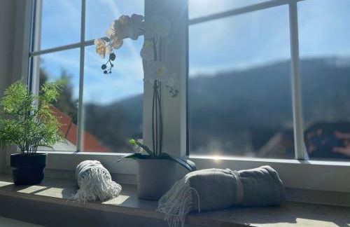 Ferienwohnung Westerwaldblick Haiger - Foto 14