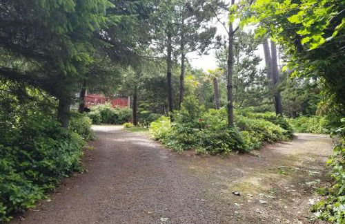 Fernglen Forested Beach Retreat - Foto 9