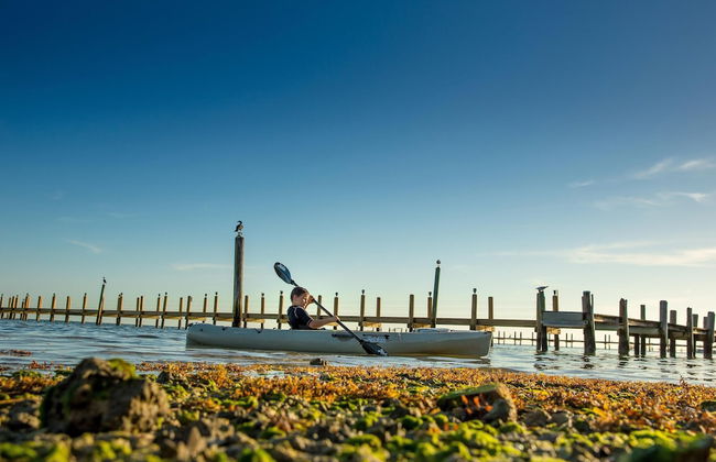 The Caribbean Resort Canary Island Palm North - Foto 16