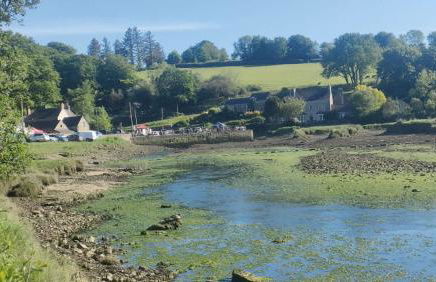 Converted Stables at Peaceful Family Farm Stay - Photo 27