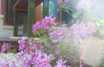 Country House Angelo Blù - Foto 16