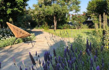 Villa-Agave , by the sea in Porto-Rafti outside Athens - Foto 17