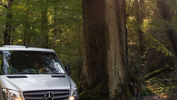 Visite des incroyables paysages du sud de la Nouvelle-Zélande