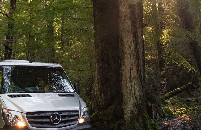 Excursión a Glenorchy y Paradise - Foto 2