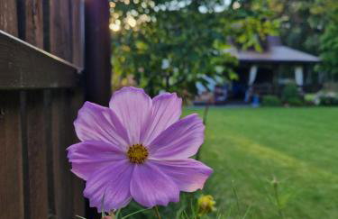 Łap Las Pelnik - Photo 28