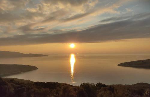 House Tuna - Foto 33