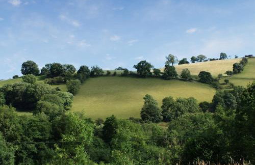 Barcud Coch - Uk44539 - Foto 27