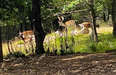 Maison confortable au cœur de la nature près de Camps-sur-l'Agly - Photo 16