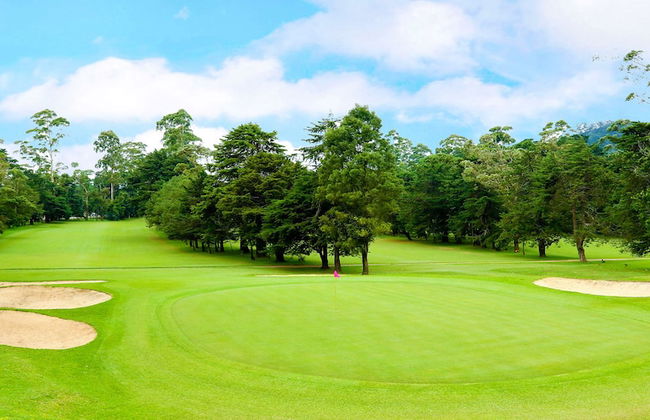 Brockenhurst Bungalow - Foto 13