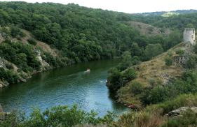 Gîtes LES Fougeres DU LAC - Foto 9