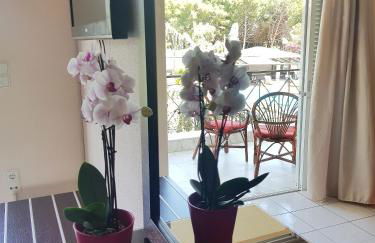 Hotel Kalamitsi Apartments - Photo 37