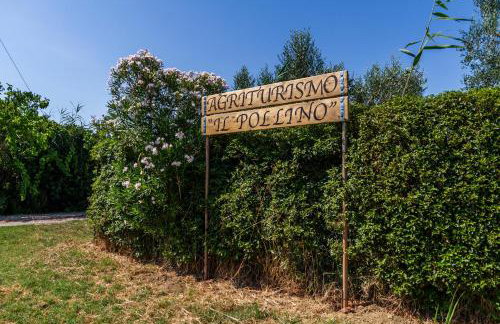 Agriturismo il Pollino - Foto 7