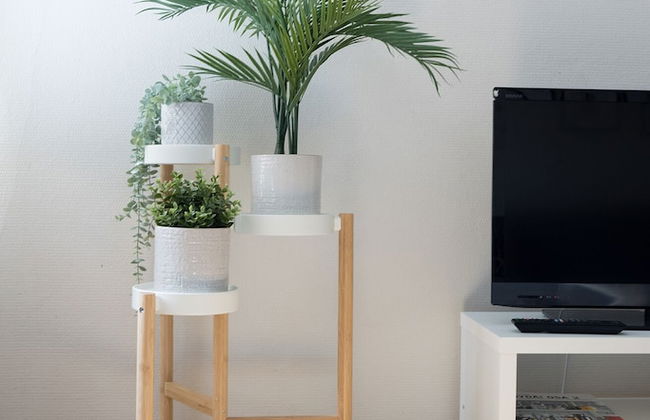 2ndhomes Spacious Studio in Katajanokka - Foto 8