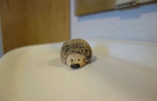 Gemütliche Unterkunft - Foto 7