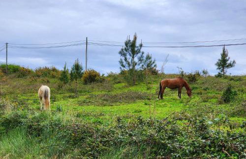 Casa Avó Judite - Castelo Óbidos - Photo 27
