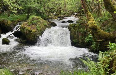 Gîte col de la lauze avec vue sur le château de Montségur - Foto 13