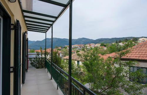 Basil & Sunrise - Photo 8