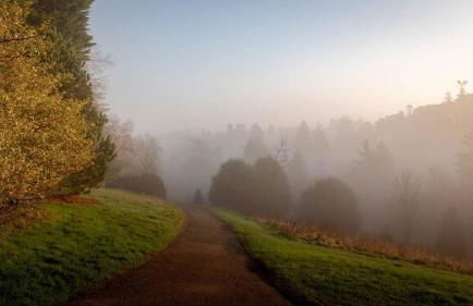 Pine Cabin Overlooking Bedgebury Forest - Foto 16