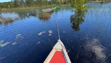 Elysium III - Foto 2