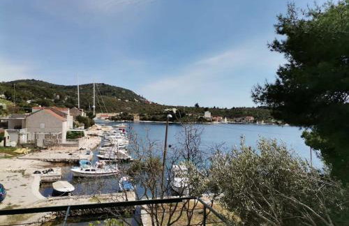 Apartman Janska - Foto 14