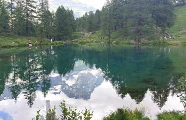 Profumo di Legno a Cielo Alto La Coquille - Foto 39